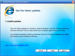 A big, bold, ticked checkbox is labelled “Install updates”. It is followed by 2 paragraphs of explanatory text and then a link.