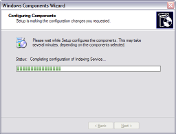 Progress page of the Windows Component Wizard.