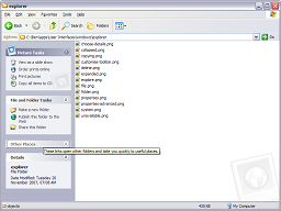 Viewing a folder with the standard Explorer Bar; several panels are expanded.