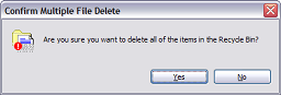 Message box asks: “Are you sure you want to delete all of the items in the Recycle Bin?”.